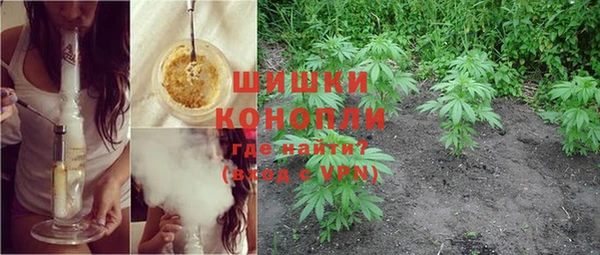 бошки Верея