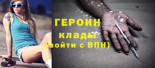 молекула духа Вяземский