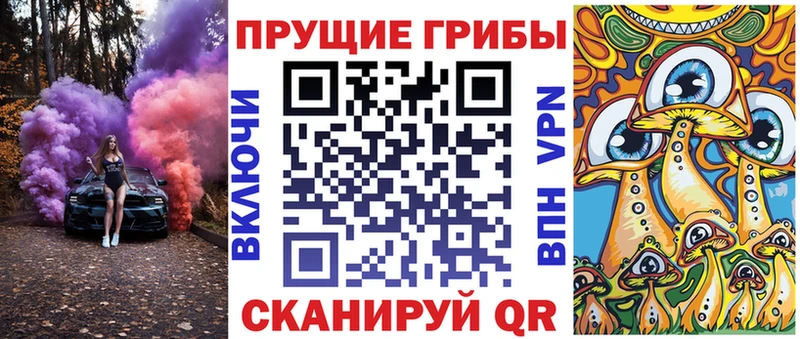 Галлюциногенные грибы мицелий  магазин    Махачкала 